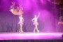Thumbs/tn_Dansmarieke festival 2015 032.jpg